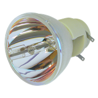 BENQ 5J.J8M05.011 Lamp without housing