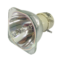 BOXLIGHT P12 Lamp without housing