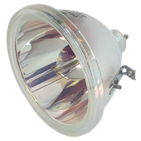 LG RU-52SZ61D Lamp without housing