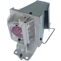 NEC VE303XG Lamp with housing