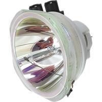 PANASONIC PT-DX100E (portrait) Lamp without housing